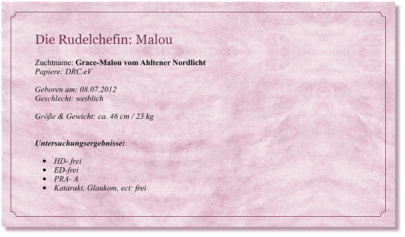Die Rudelchefin: Malou                                                                      Zuchtname: Grace-Malou vom Ahltener Nordlicht Papiere: DRC.eV  Geboren am: 08.07.2012 Geschlecht: weiblich  Gre & Gewicht: ca. 46 cm / 23 kg   Untersuchungsergebnisse:  	HD- frei 	ED-frei 	PRA- A 	Katarakt, Glaukom, ect: frei