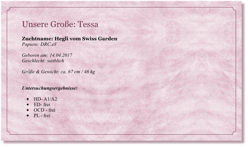 Unsere Große: Tessa                                                                           Zuchtname: Hegli vom Swiss Garden Papiere: DRC.eV  Geboren am: 14.04.2017 Geschlecht: weiblich  Größe & Gewicht: ca. 67 cm / 46 kg   Untersuchungsergebnisse:  •	HD- A1/A2 •	ED- frei •	OCD - frei •	PL - frei