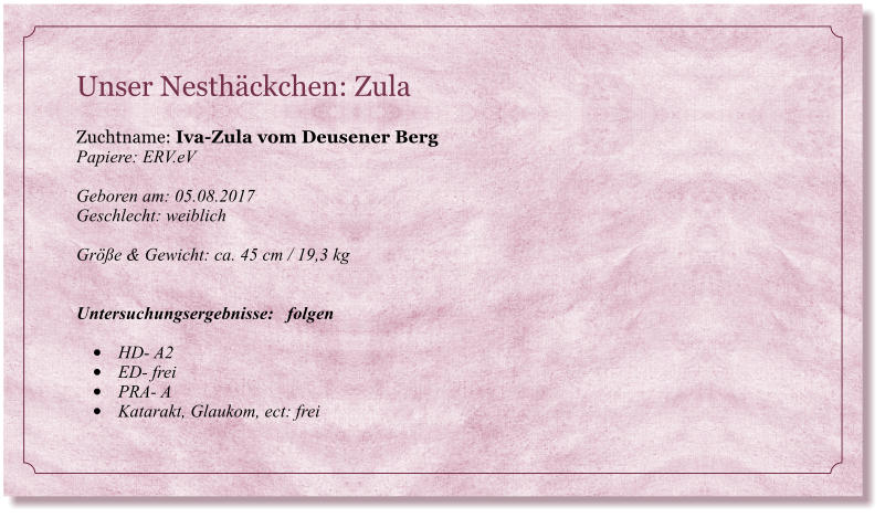 Unser Nesthckchen: Zula                                                                 Zuchtname: Iva-Zula vom Deusener Berg Papiere: ERV.eV  Geboren am: 05.08.2017 Geschlecht: weiblich  Gre & Gewicht: ca. 45 cm / 19,3 kg   Untersuchungsergebnisse:   folgen  	HD- A2 	ED- frei 	PRA- A 	Katarakt, Glaukom, ect: frei