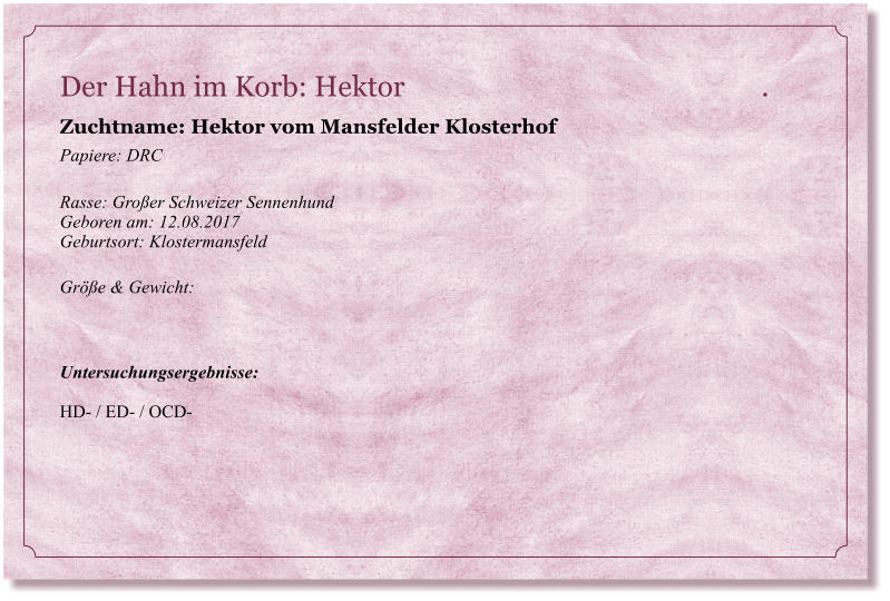 Der Hahn im Korb: Hektor                                                   .           Zuchtname: Hektor vom Mansfelder Klosterhof Papiere: DRC  Rasse: Groer Schweizer Sennenhund Geboren am: 12.08.2017 Geburtsort: Klostermansfeld  Gre & Gewicht:     Untersuchungsergebnisse:   HD- / ED- / OCD-