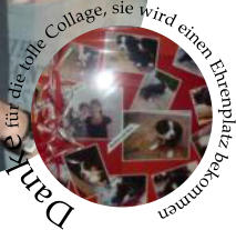Danke fr die tolle Collage, sie wird einen Ehrenplatz bekommen