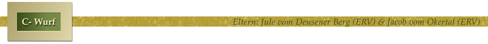 Eltern: Jule vom Deusener Berg (ERV) & Jacob vom Okertal (ERV) C- Wurf